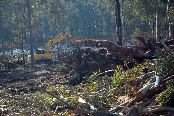 Daracan clearing site to the nth
