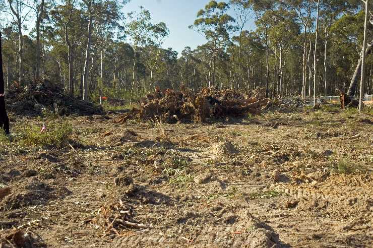 Daracan clearing site to the nth