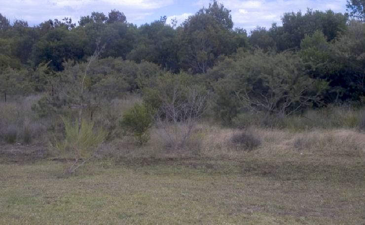 paffine habitat before leisure centre 1997
